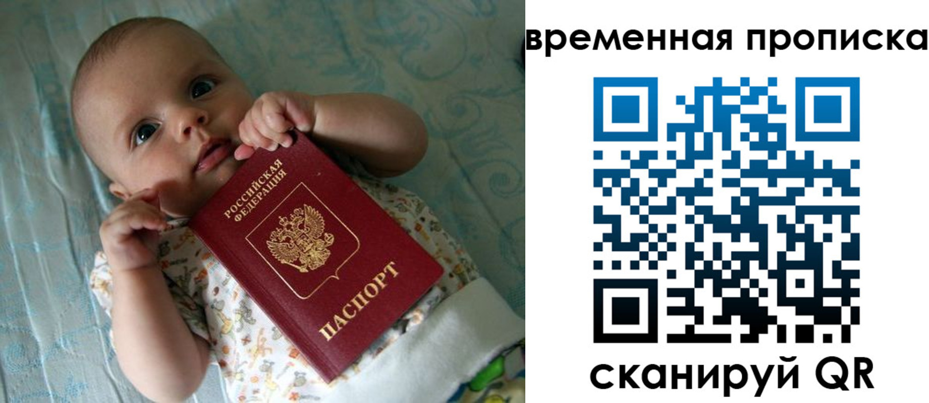 найти адрес прописки в Гороховце